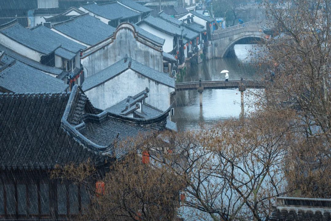 正文图片