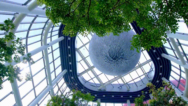 微信图片_20211121143952.gif