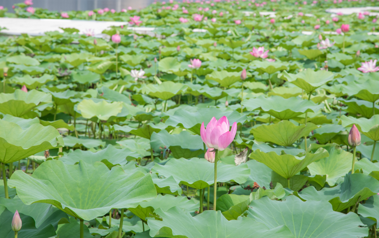 f7939ccaf0f573d6a625f625a642c30a.jpg f7939ccaf0f573d6a625f625a642c30a.jpg