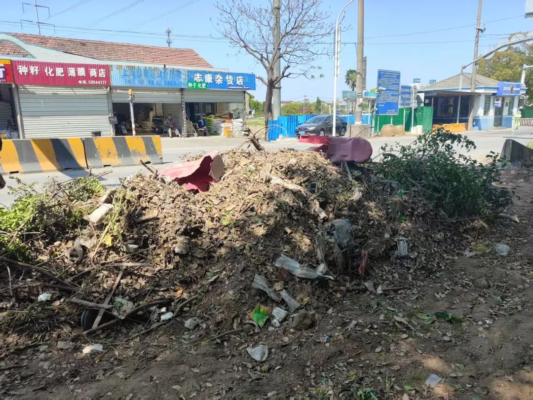 正文图片