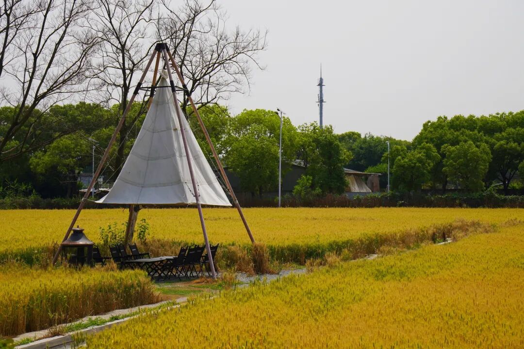 正文图片