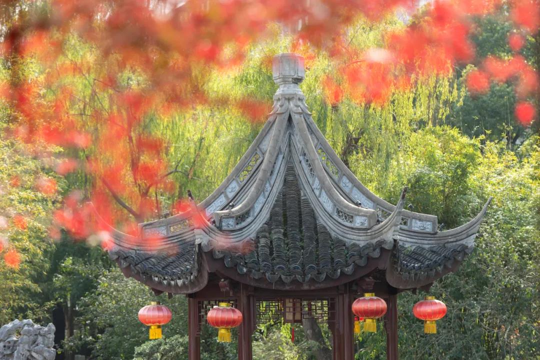 微信图片_20211126085512.jpg