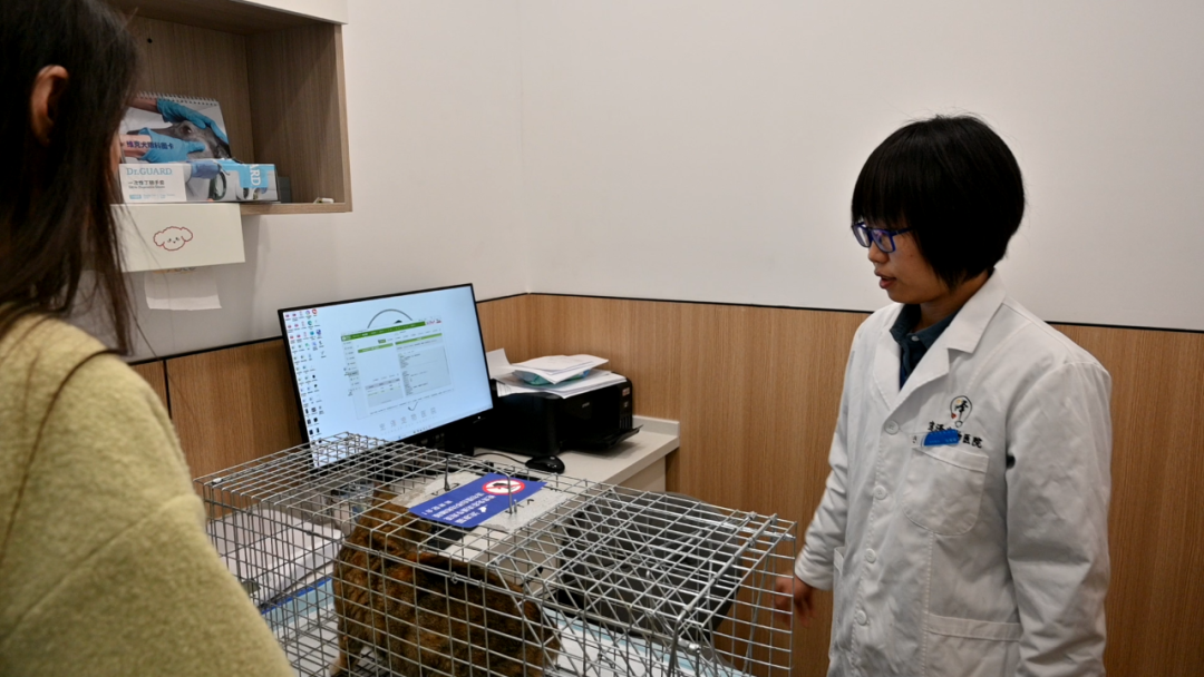 正文图片