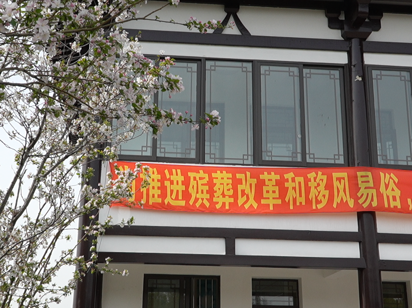 正文图片