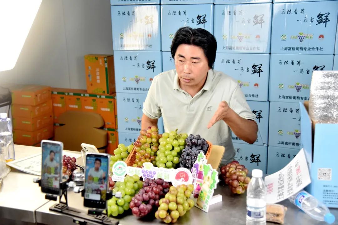 正文图片