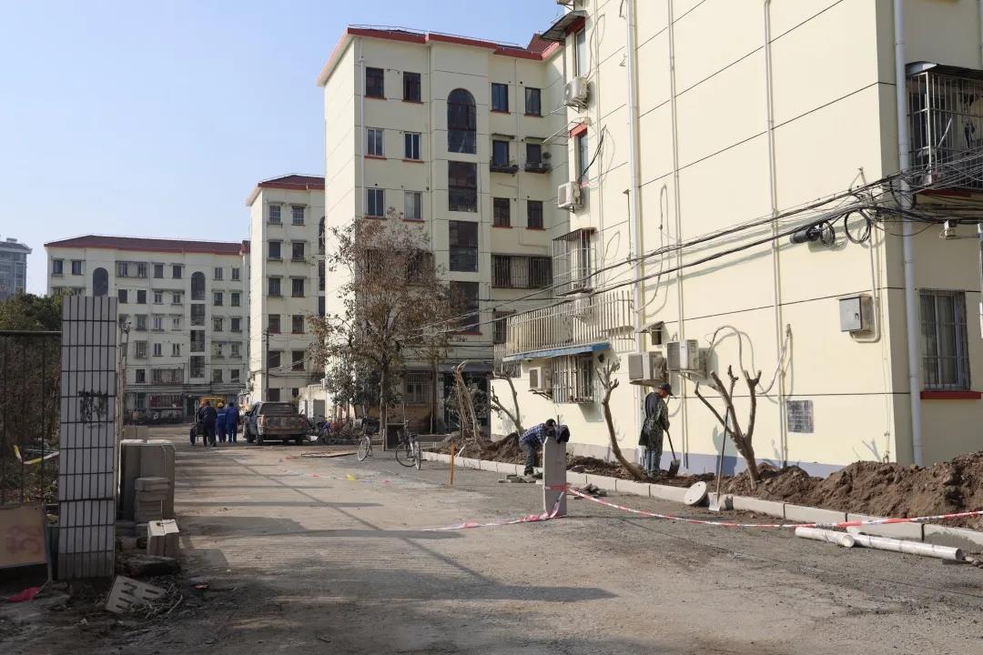 正文图片