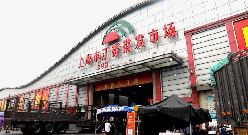 正文图片