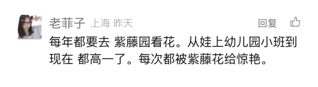 正文图片