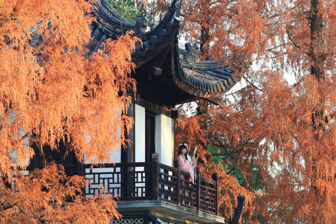 微信图片_20201226165430.jpg
