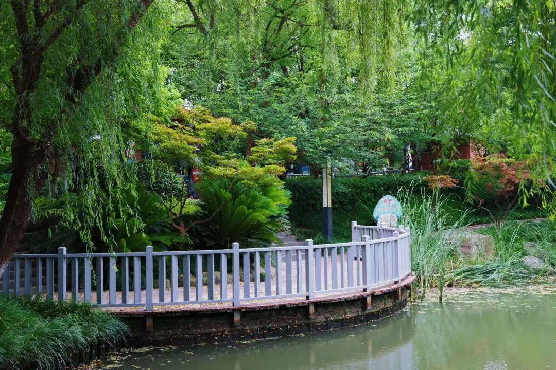 正文图片