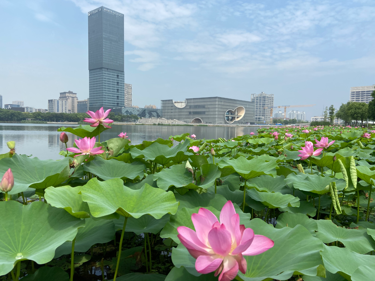 938eda1b8404e5653b84e2ad939bb290.jpg 938eda1b8404e5653b84e2ad939bb290.jpg