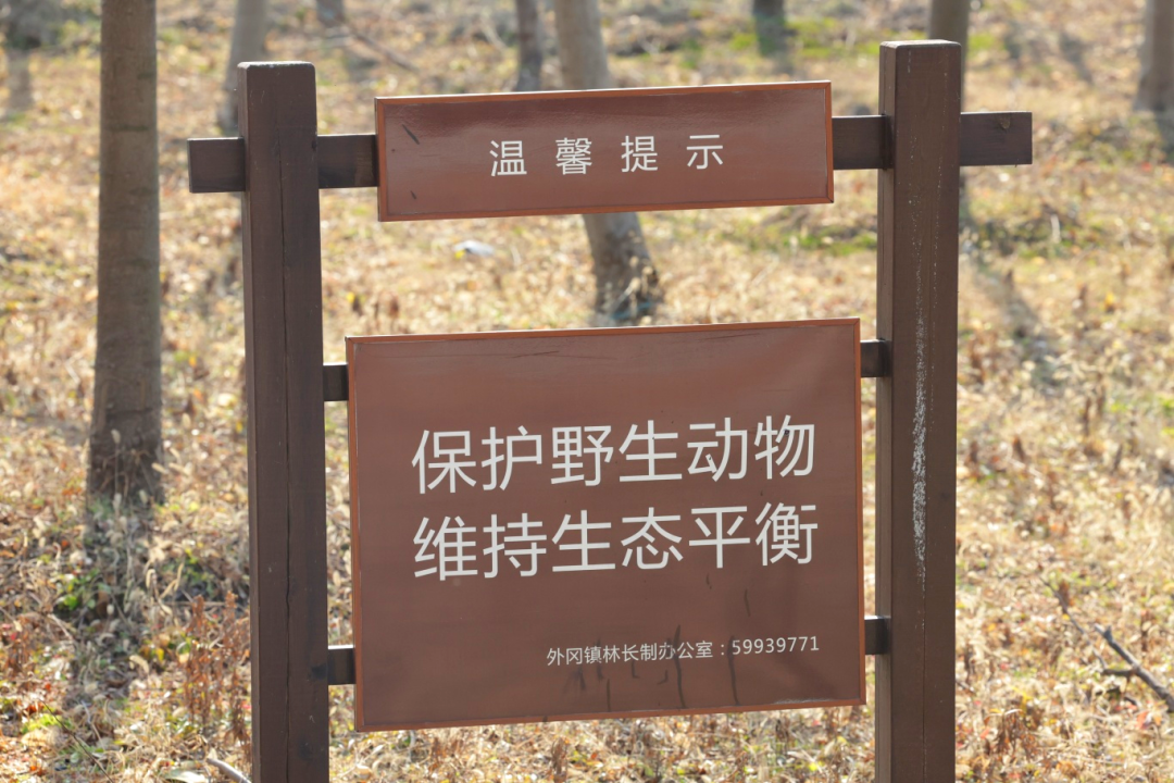 217A7504.JPG