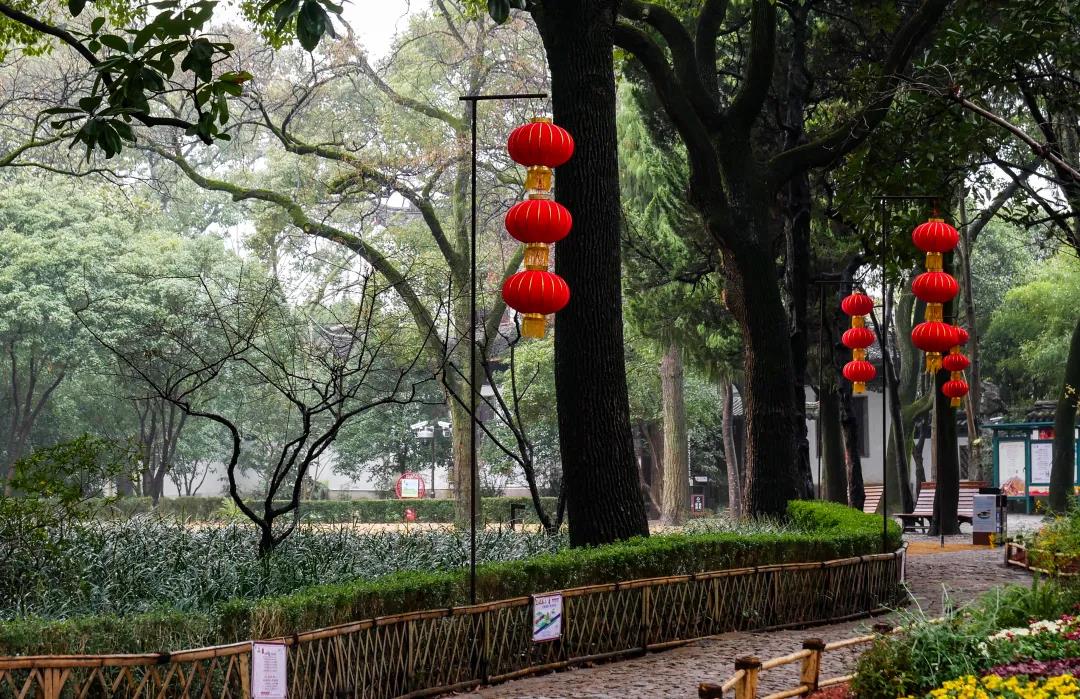正文图片