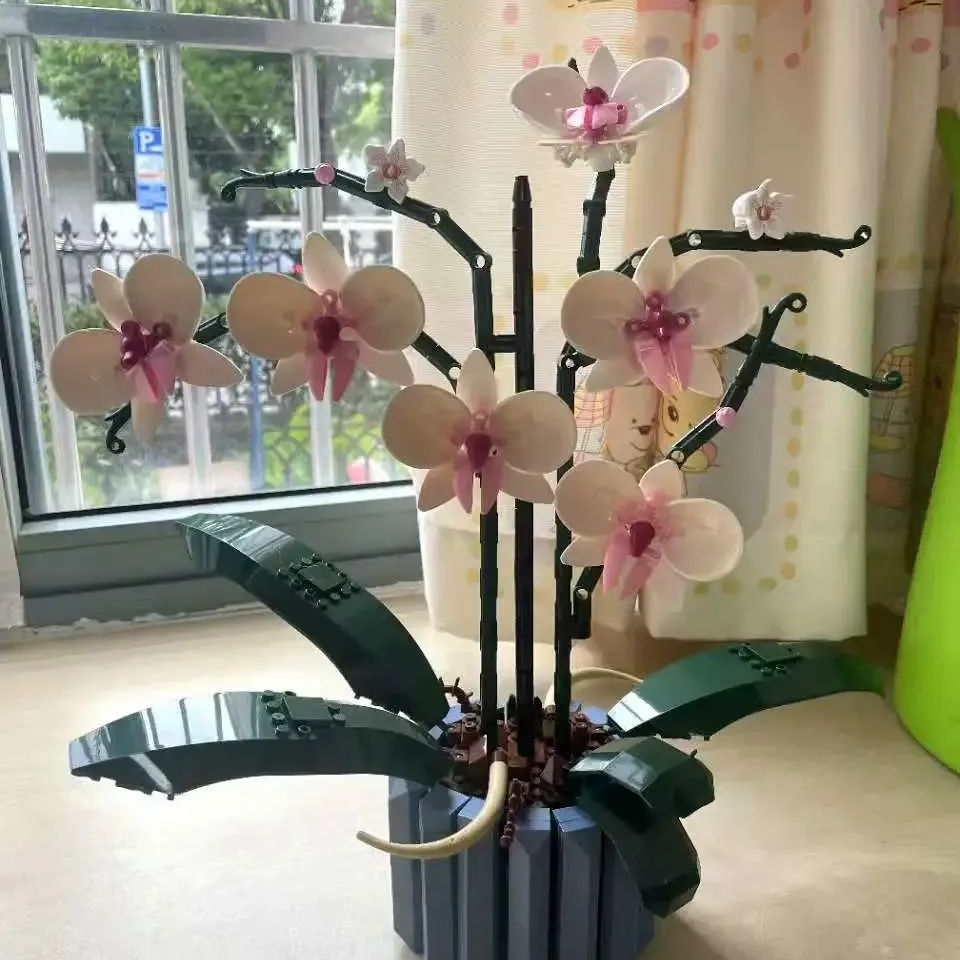 正文图片