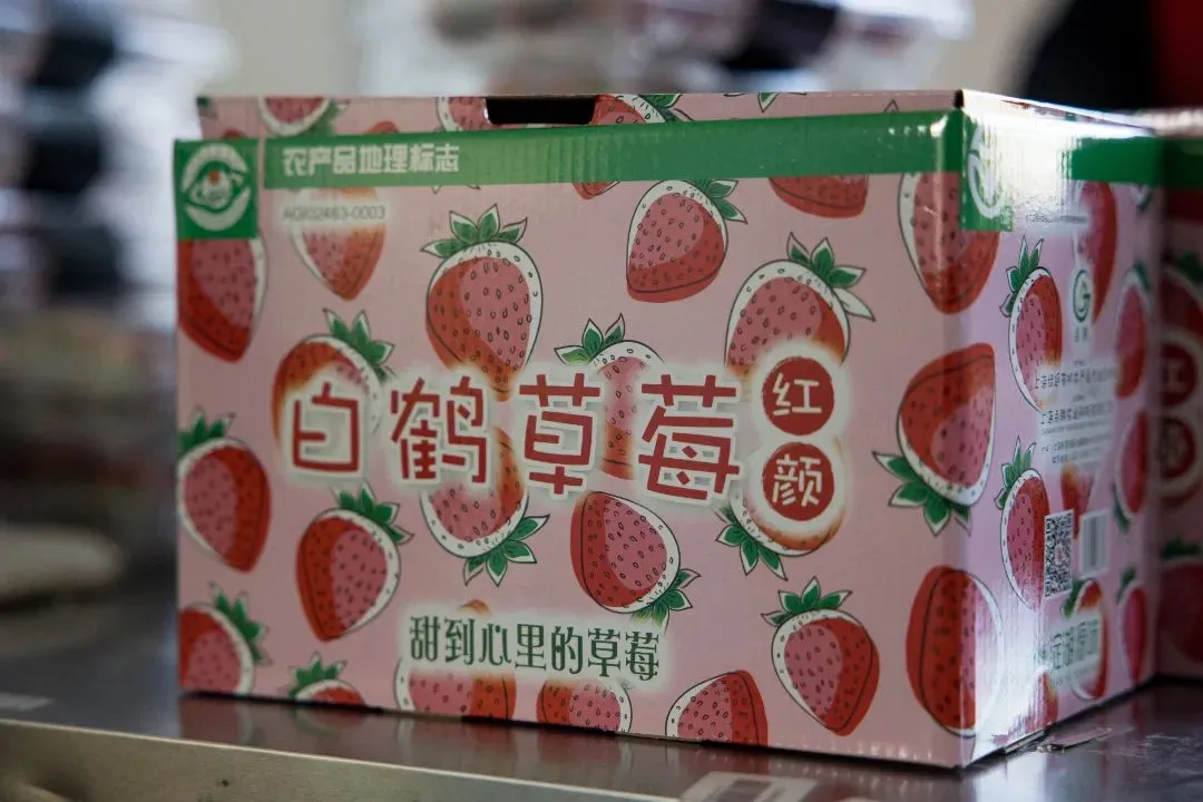 正文图片