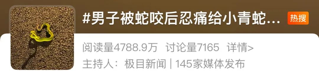 正文图片
