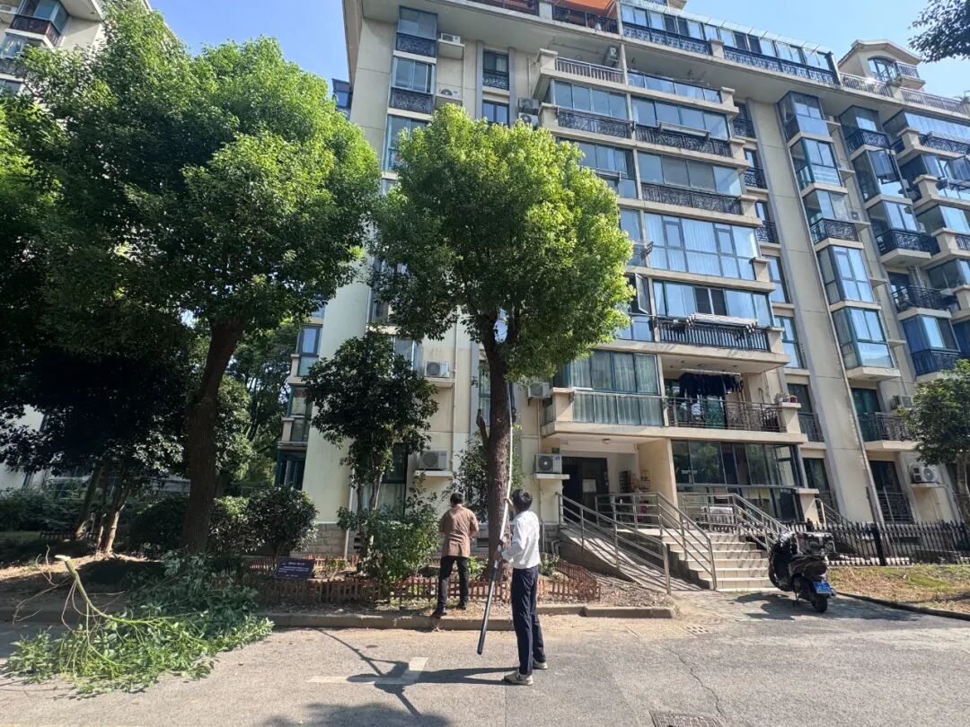正文图片