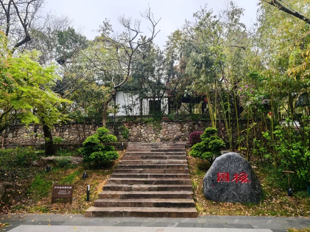 正文图片