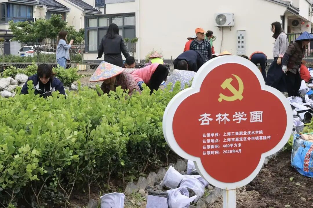 正文图片
