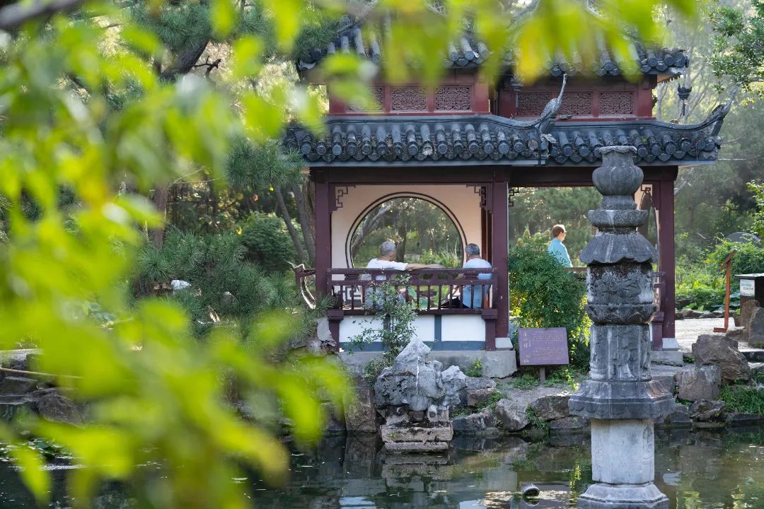 正文图片