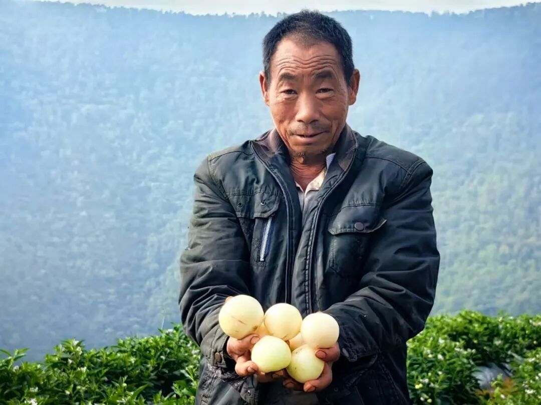 正文图片
