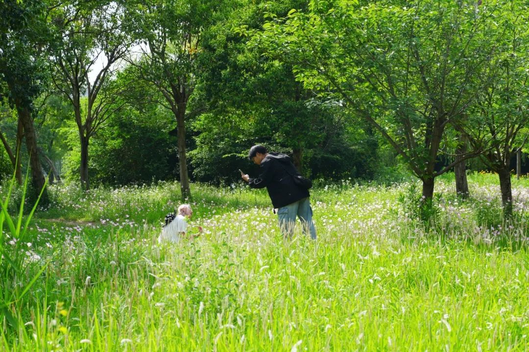 DSC05361_副本.jpg