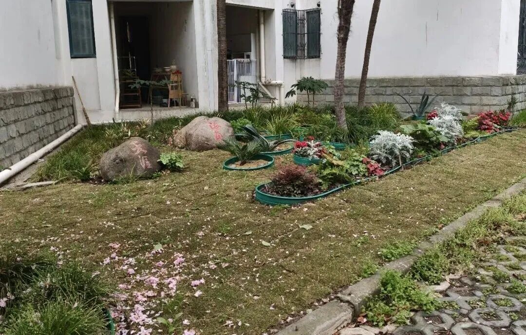 正文图片