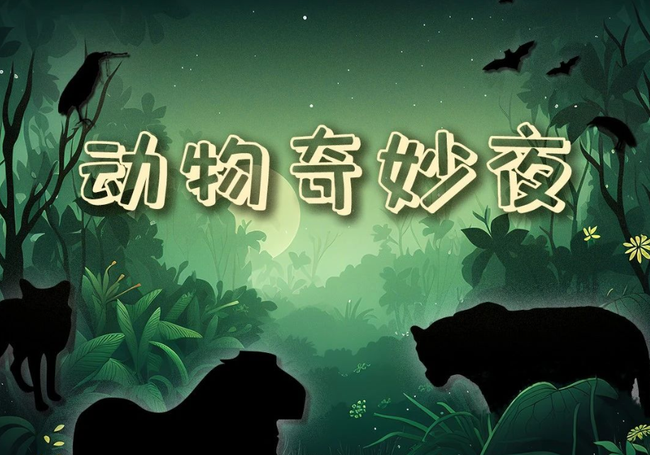 正文图片