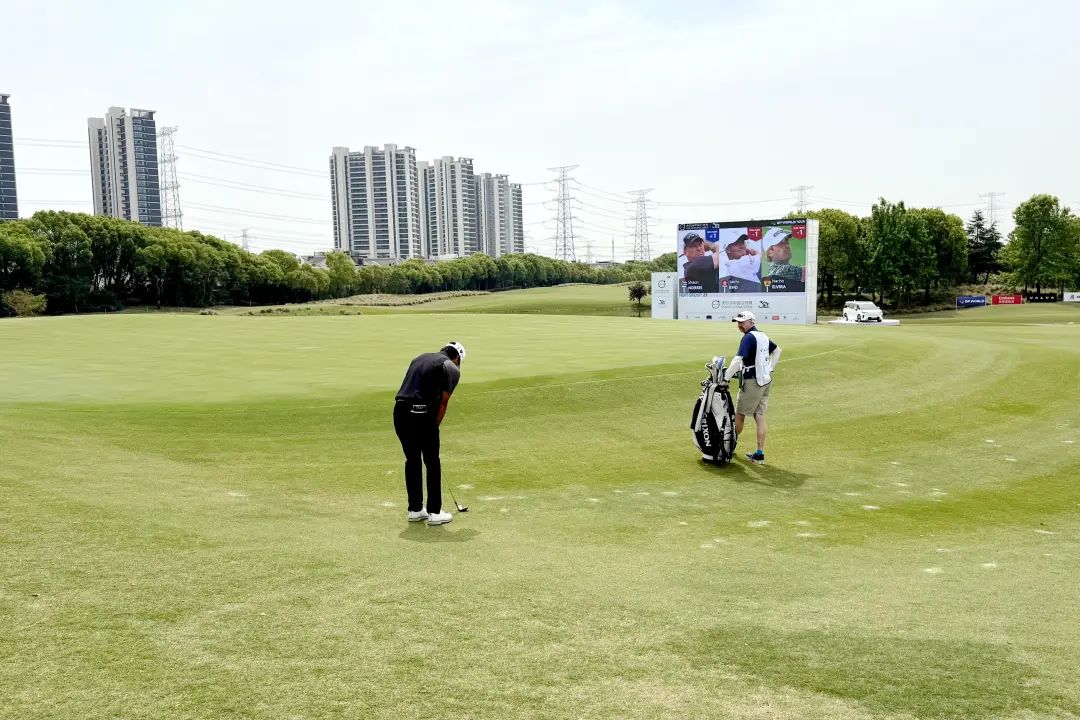 正文图片