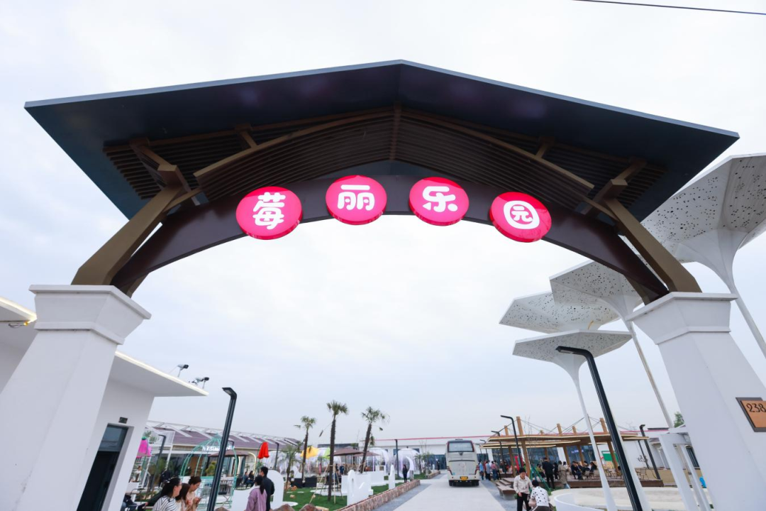 正文图片