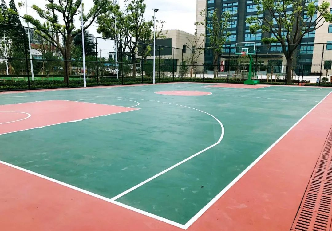 正文图片