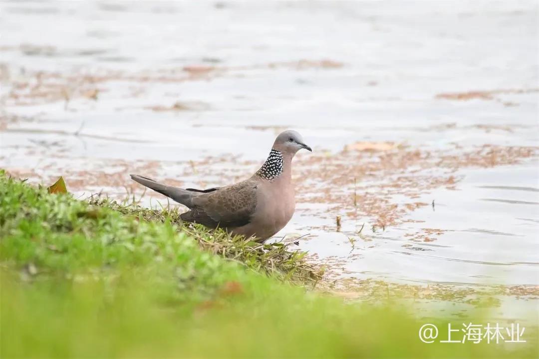 微信图片_20211213145550.jpg 微信图片_20211213145550.jpg