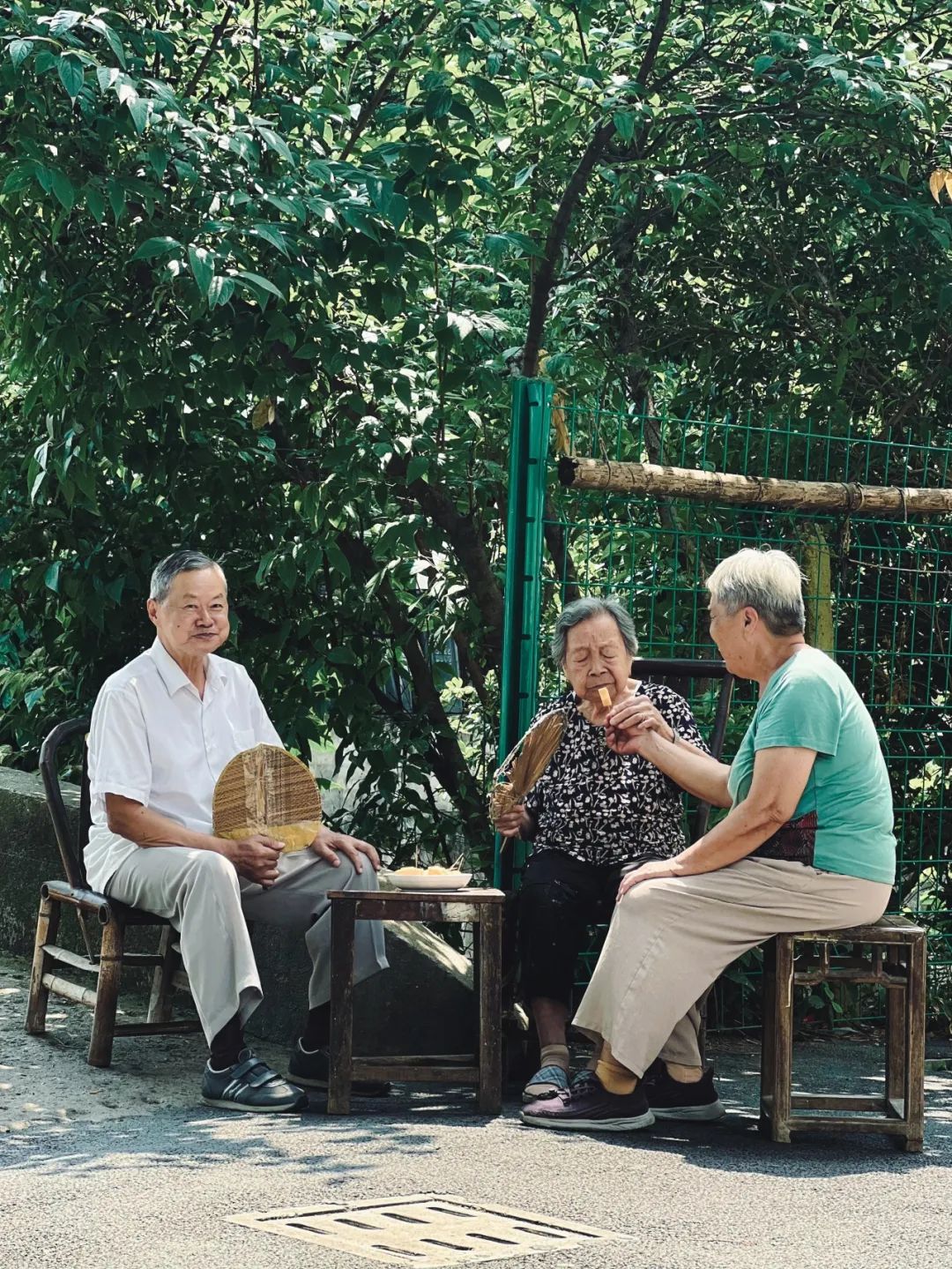 正文图片
