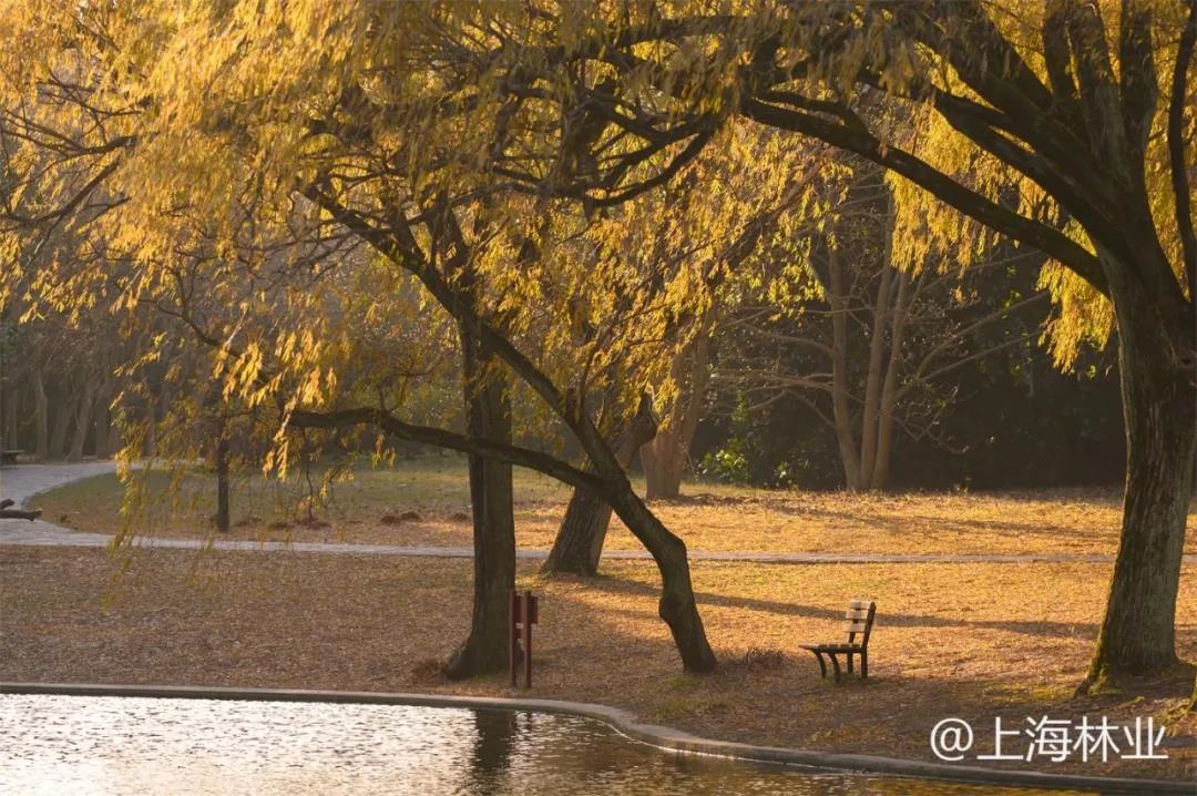 微信图片_20211213145521.jpg 微信图片_20211213145521.jpg