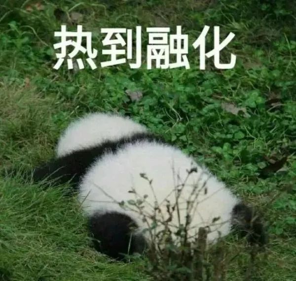 正文图片