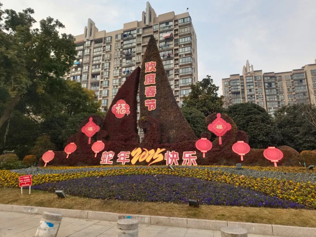 正文图片