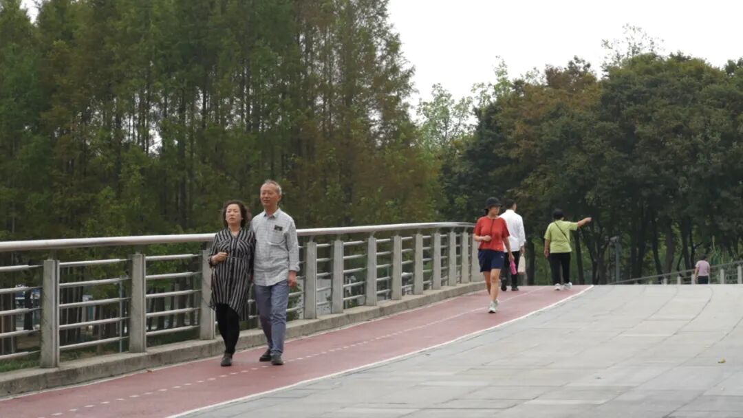 正文图片
