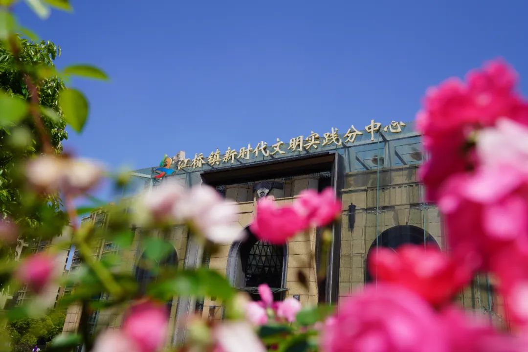 正文图片