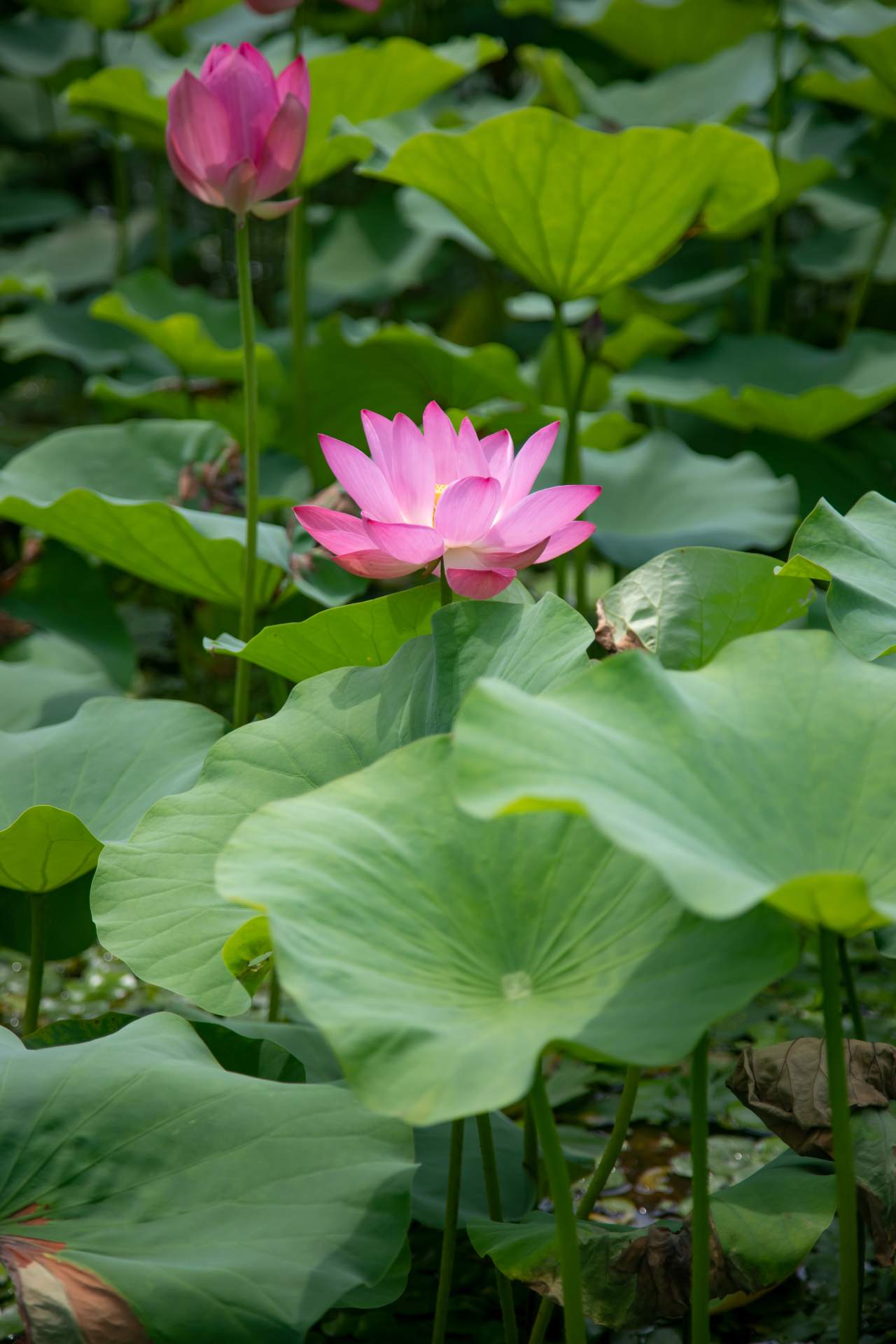 9c025e73f011ed0d706481c561d5c4a2.jpg 9c025e73f011ed0d706481c561d5c4a2.jpg