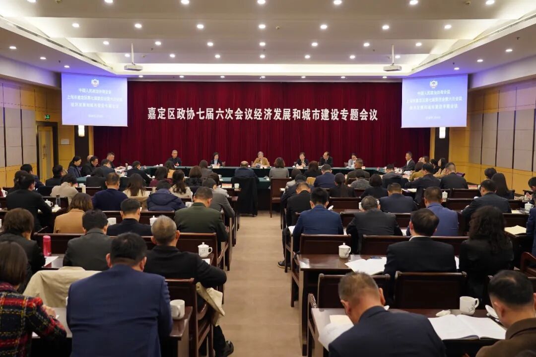 政协专题会议上，委员们提出了哪些真知灼见？