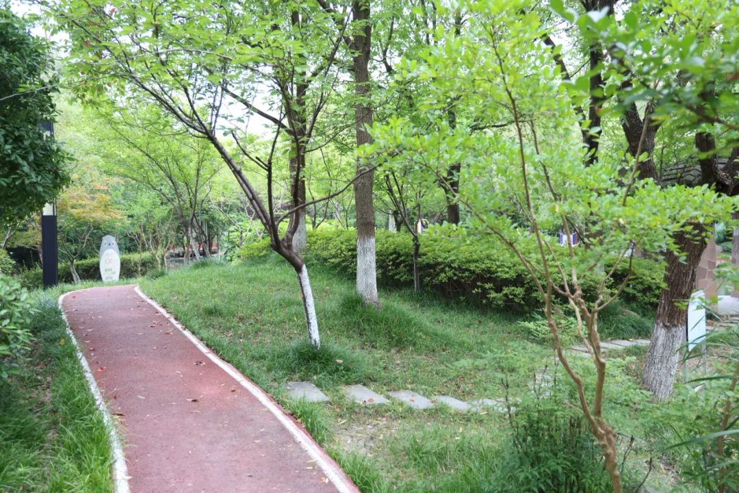 正文图片