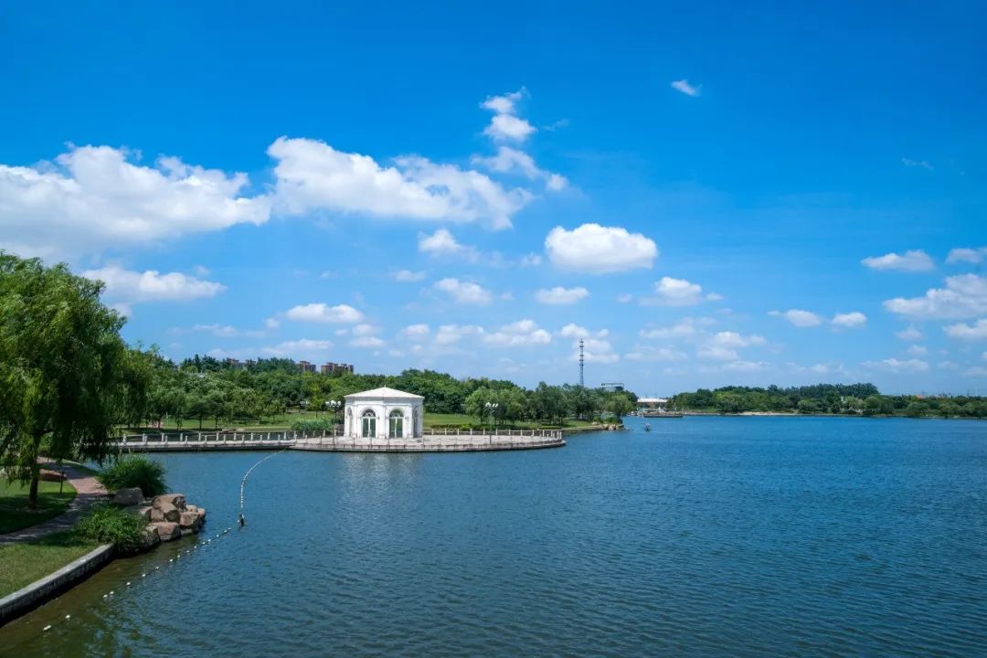 正文图片