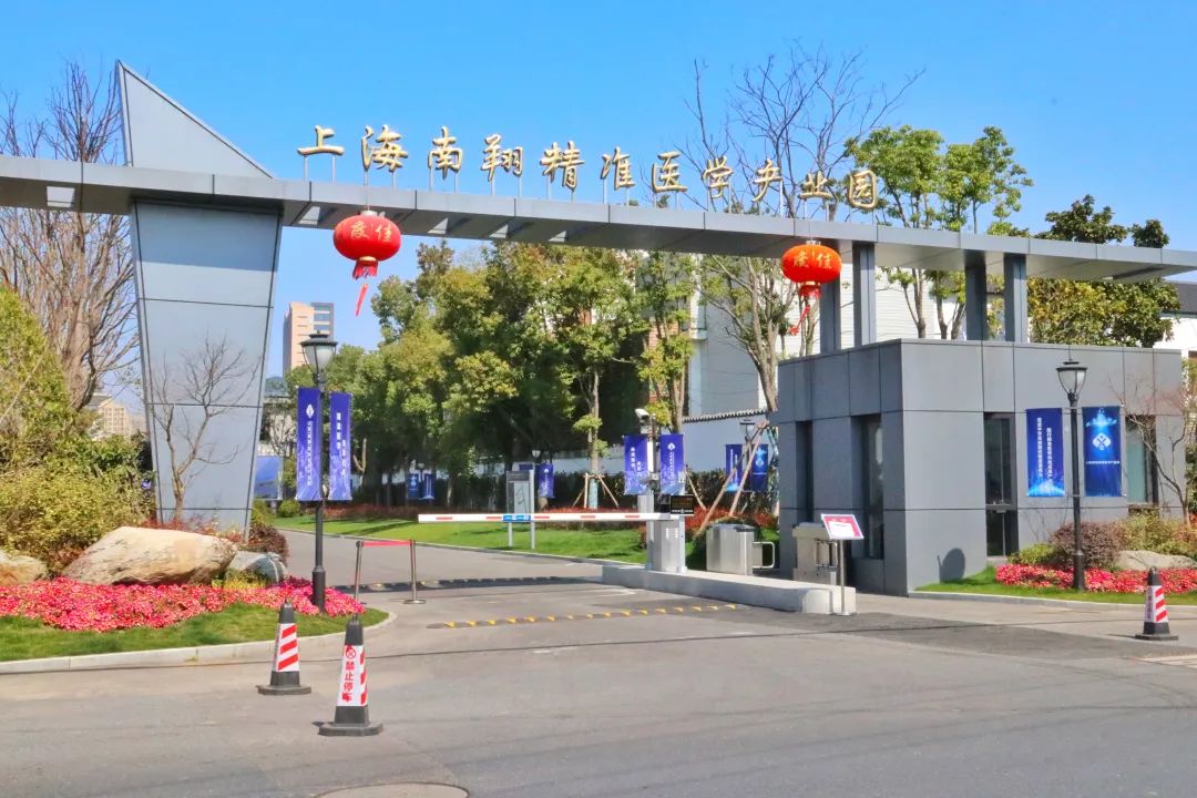 正文图片