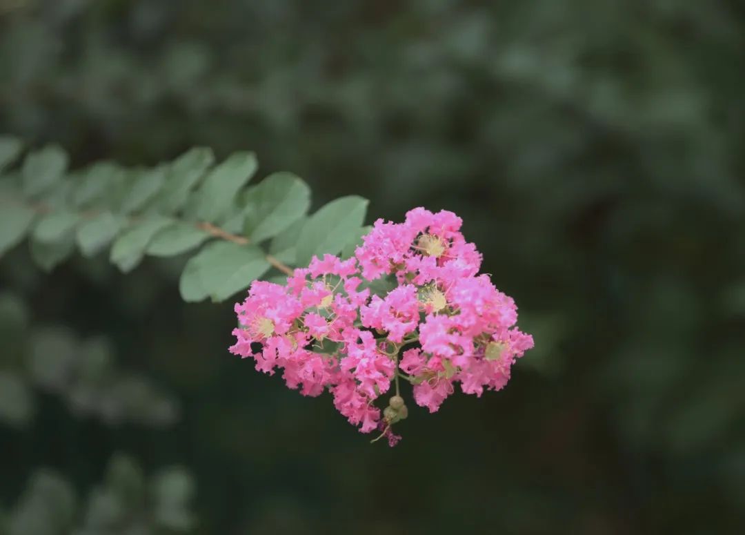 AB3I9348_副本.jpg