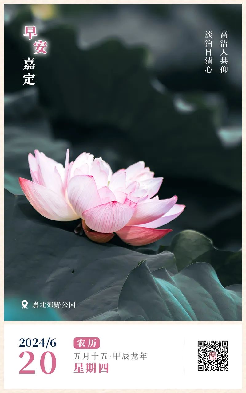 正文图片