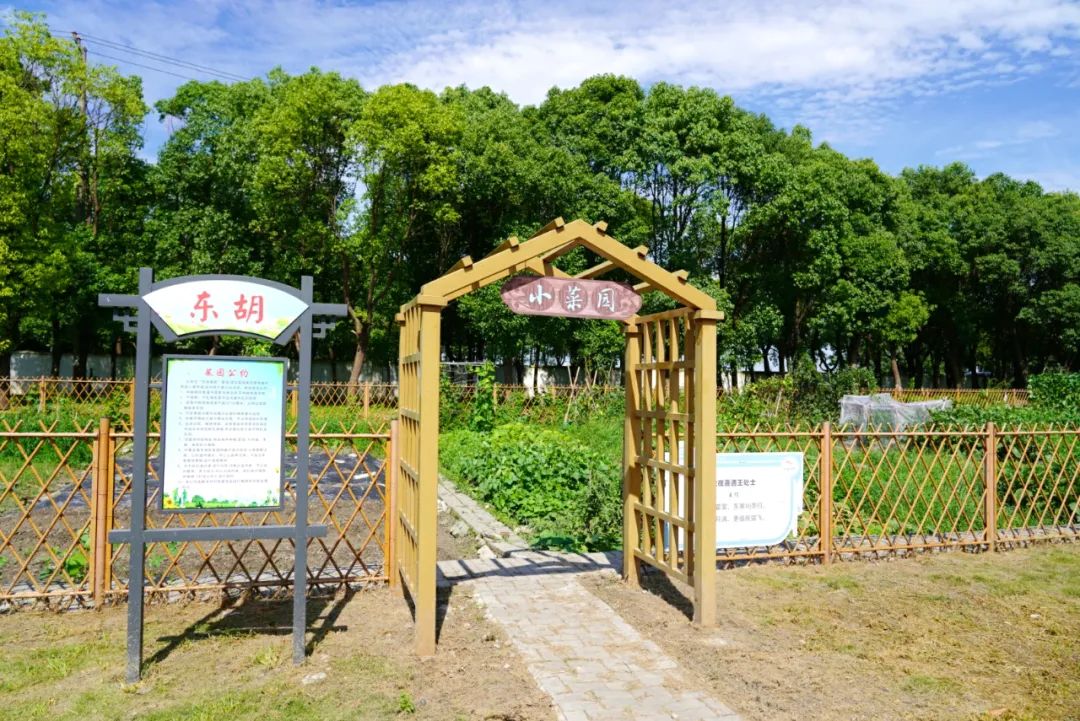 正文图片