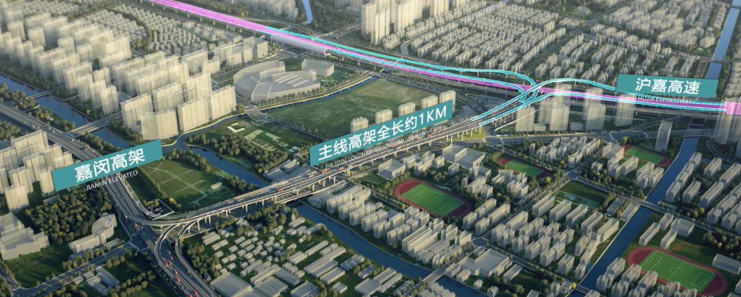 正文图片