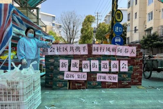 正文图片