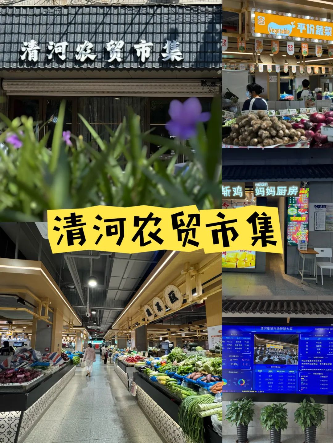 正文图片
