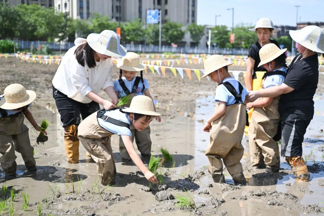 正文图片